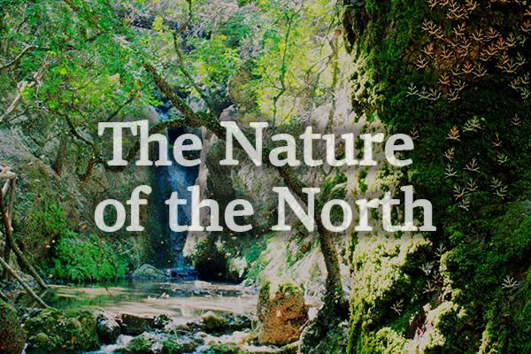 The Nature of the North  